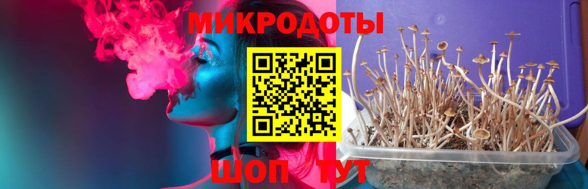 Псилоцибиновые грибы прущие грибы Зеленокумск